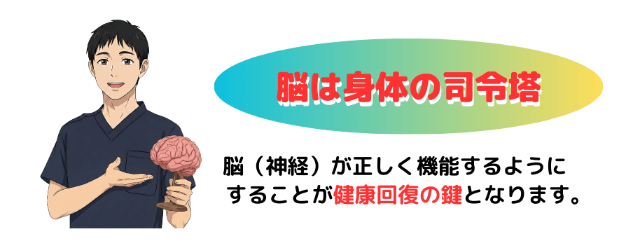 脳は身体の司令塔